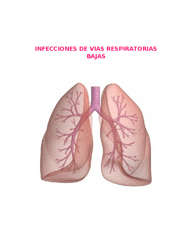 Miniatura del documento 3IVRB.docx