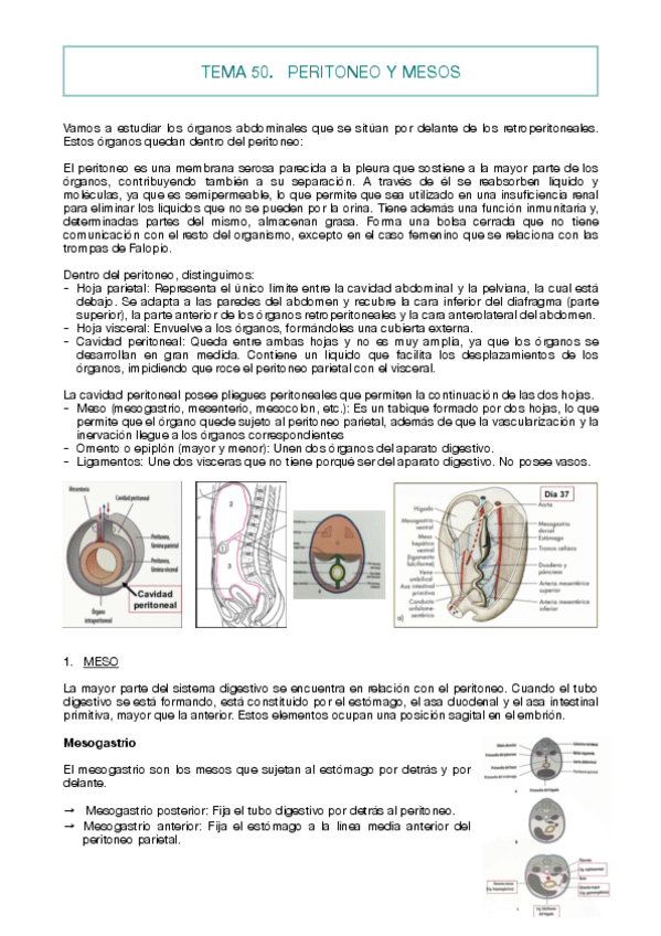 Miniatura del documento TEMA-50.pdf