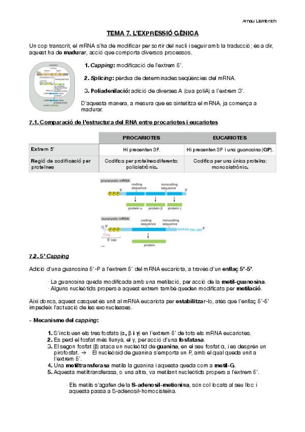 Miniatura del documento Apunts-Biologia-Molecular-i-Genomica-Tema-7.pdf