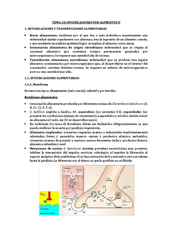 Miniatura del documento T10.pdf