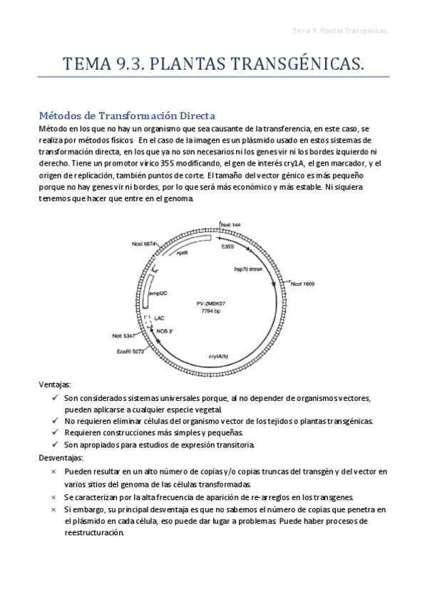 Miniatura del documento Tema-9.pdf
