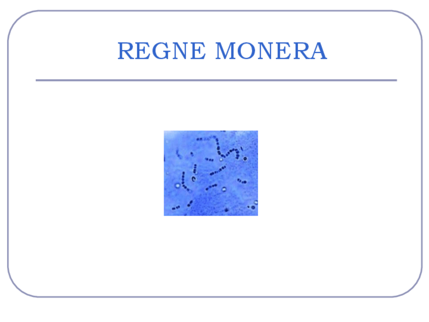 Miniatura del documento Powerpoint-Monera.pdf