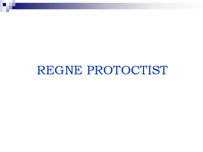 Miniatura del documento Powerpoint-protoctistes.pdf