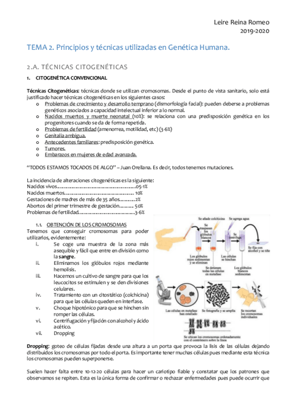 Miniatura del documento TEMA2.pdf