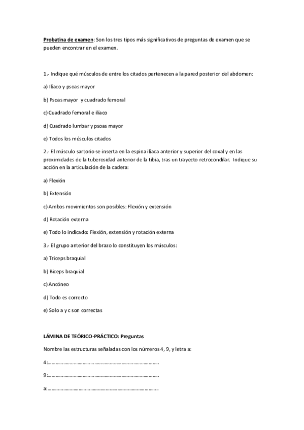Miniatura del documento Probatina de examen.pdf