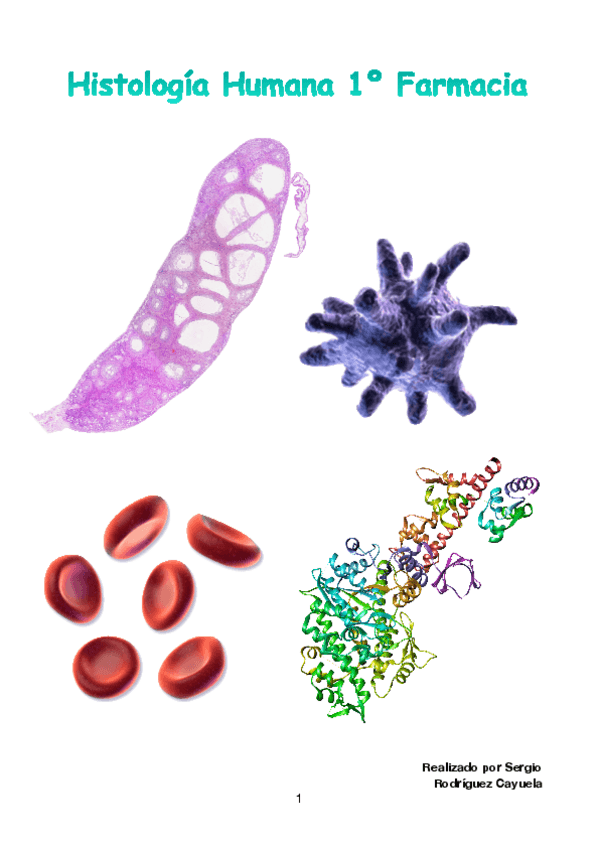Miniatura del documento Histologia-Humana-.pdf