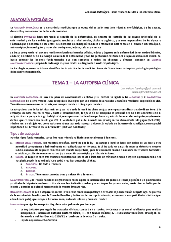 Miniatura del documento PRIMER-PARCIAL-SIN-SEMINARIOS.pdf