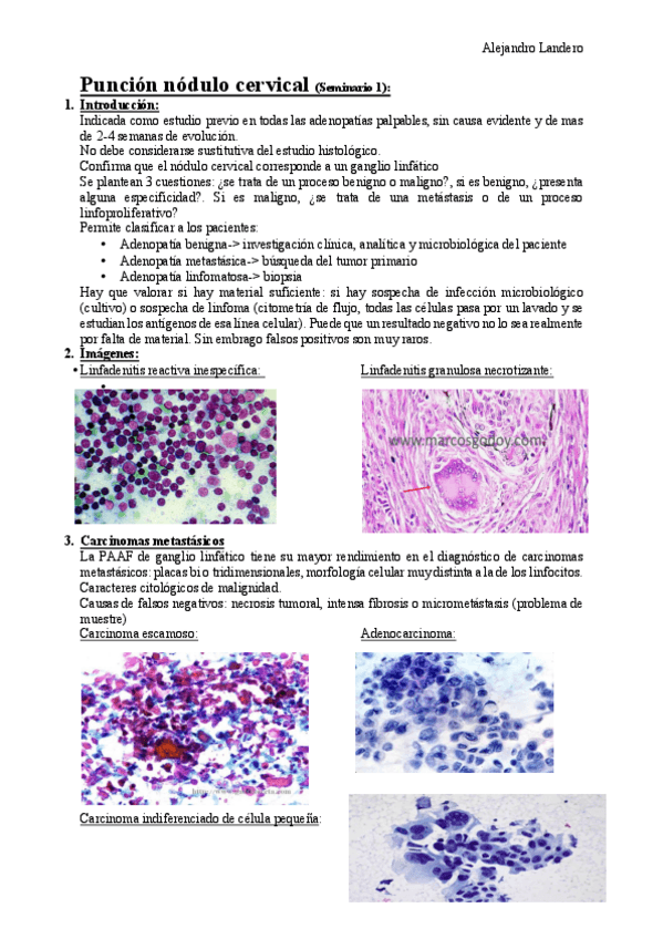 Miniatura del documento SEMINARIOS-AP-20192020.pdf