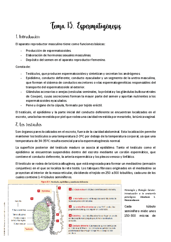 Miniatura del documento Tema-15.pdf