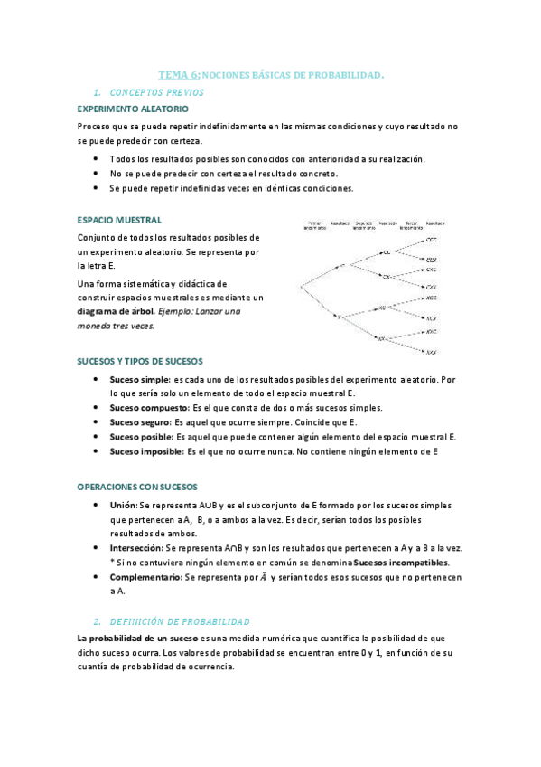 Miniatura del documento TEMA-6.pdf
