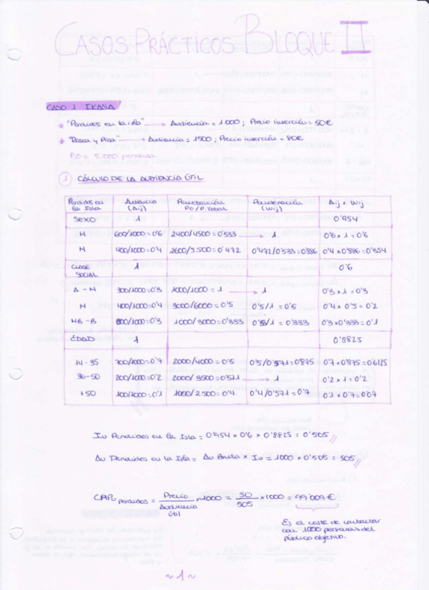 Miniatura del documento CASOS-RESUELTOS-BLOQUE-II.pdf