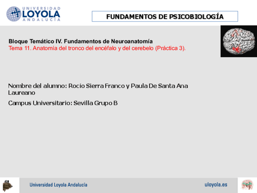 Miniatura del documento Practica-3-.pdf
