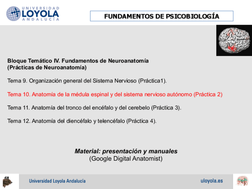 Miniatura del documento Practica-2.pdf