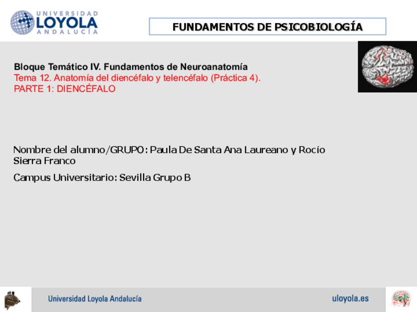 Miniatura del documento Practica-4.pdf