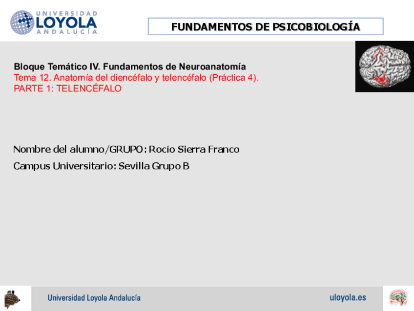 Miniatura del documento Practica-4.pdf