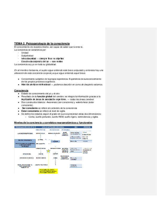 Miniatura del documento Psicopatologia-de-la-consciencia.pdf