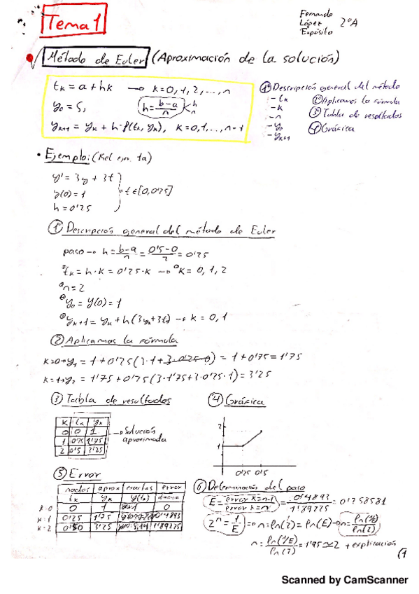 Miniatura del documento RESUMEN-MNyO.pdf