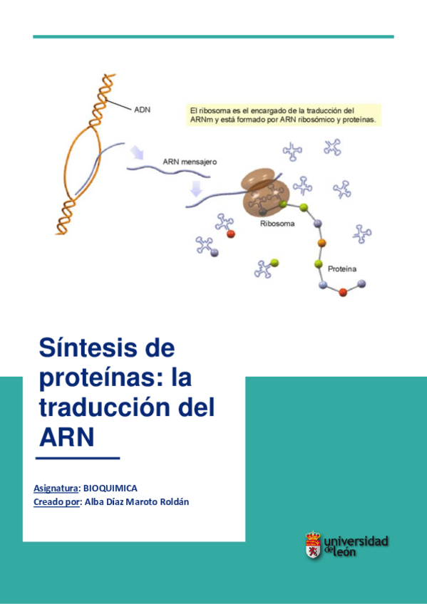 Miniatura del documento La-Traduccion-del-ARN.pdf