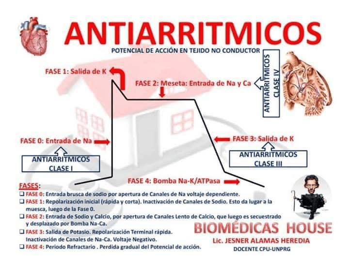 Miniatura del documento inbound4163943454120041426.jpg