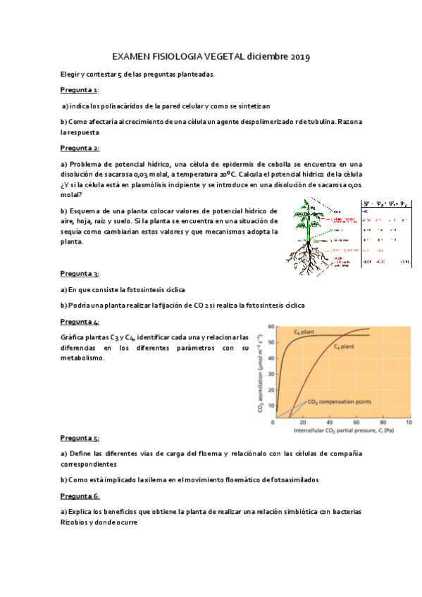 Miniatura del documento Examen-FV-primer-cuatri-2019.pdf