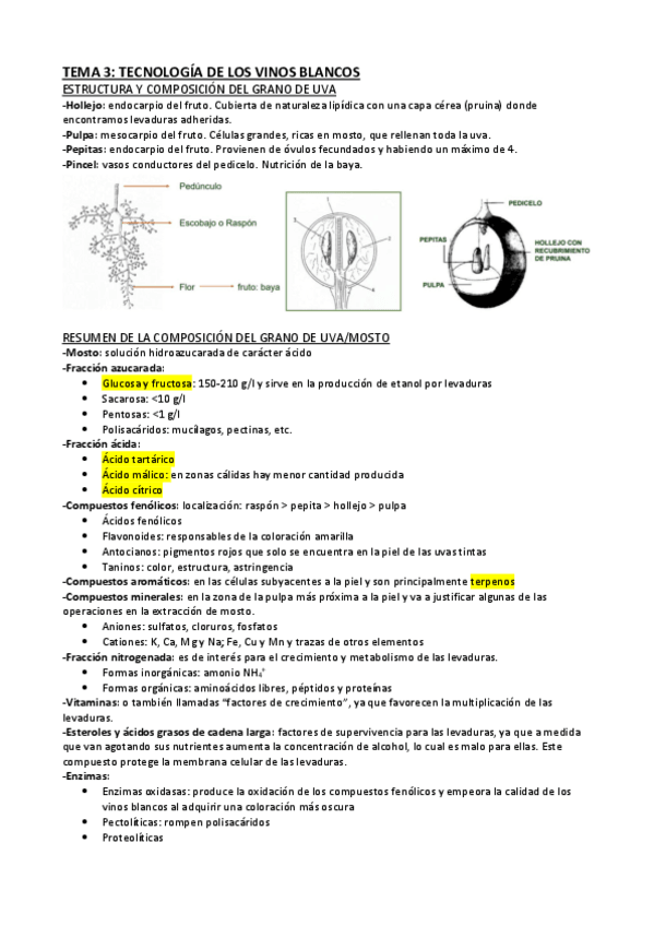 Miniatura del documento Tema-3.pdf
