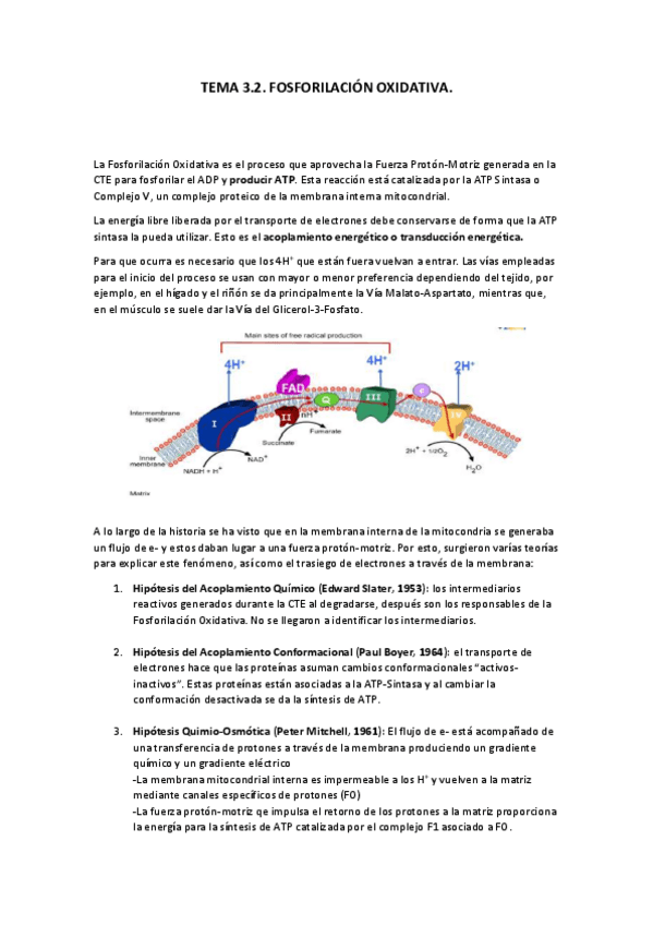 Miniatura del documento Tema-3.pdf