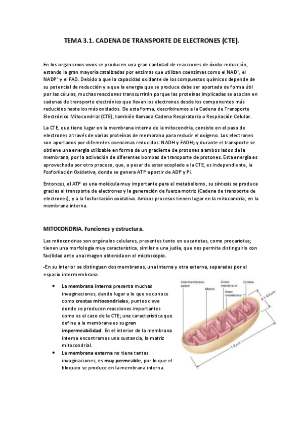 Miniatura del documento Tema-3.pdf