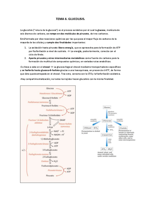 Miniatura del documento Tema-6.pdf