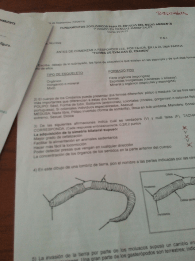 Miniatura del documento IMG3740.jpg