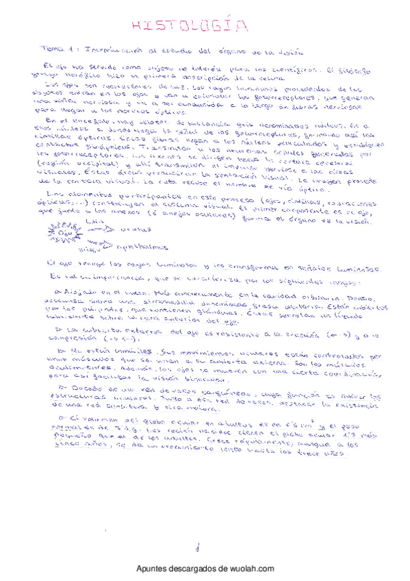 Miniatura del documento wuolah-free-SKMBTC55016101711320-1.pdf