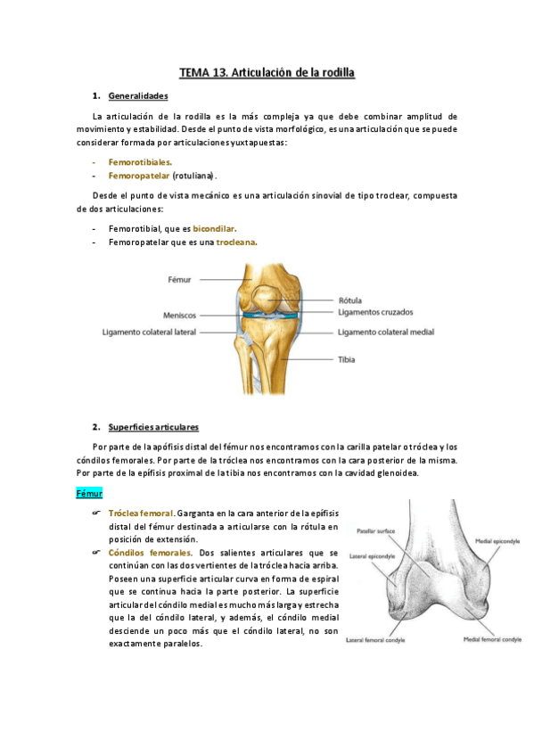 Miniatura del documento TEMA-13.pdf