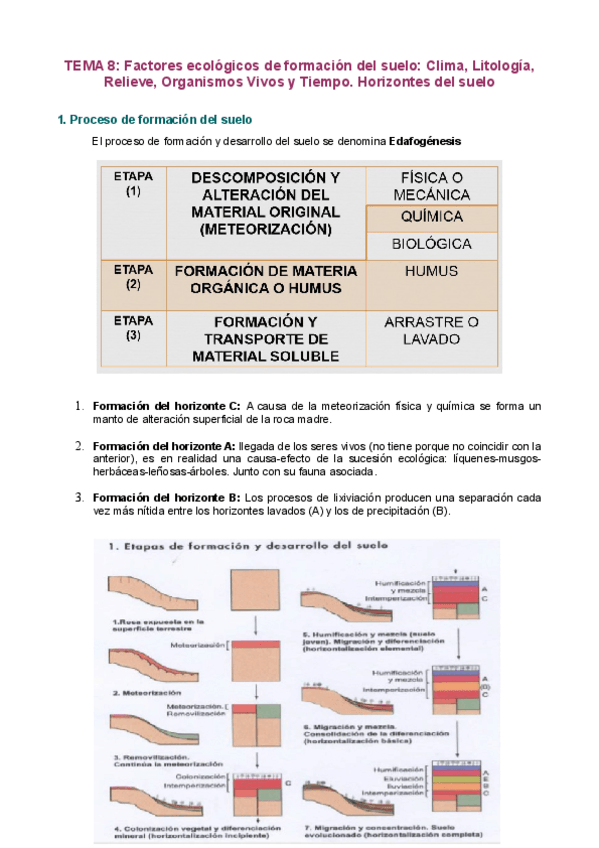 Miniatura del documento T8.pdf