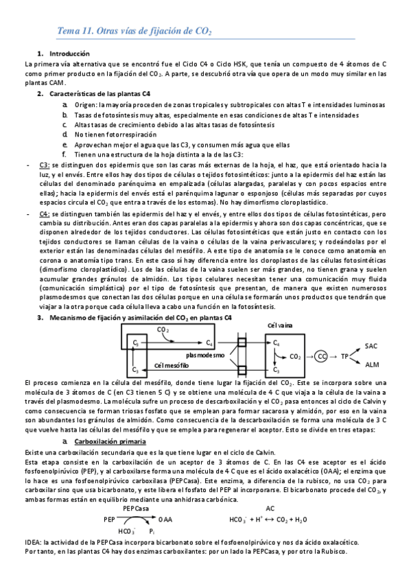 Miniatura del documento Fisiología vegetal PARTE 2.pdf