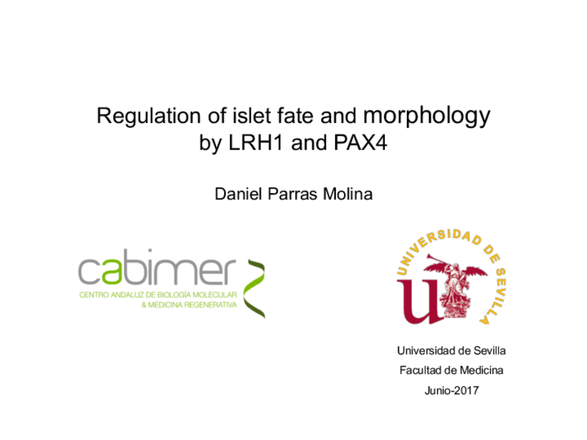 Miniatura del documento TFG-LRH1DPM.pdf