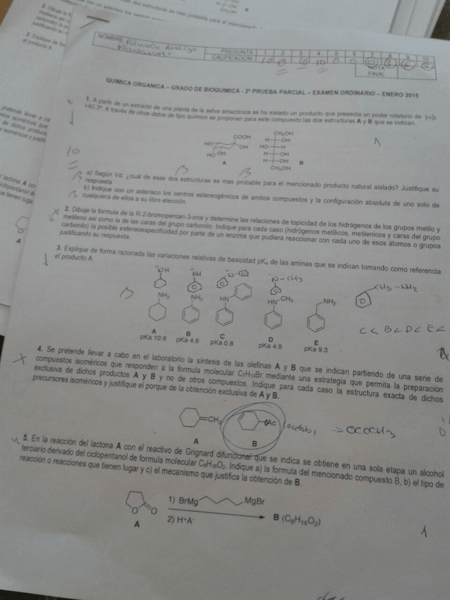 Miniatura del documento IMG_0570.JPG