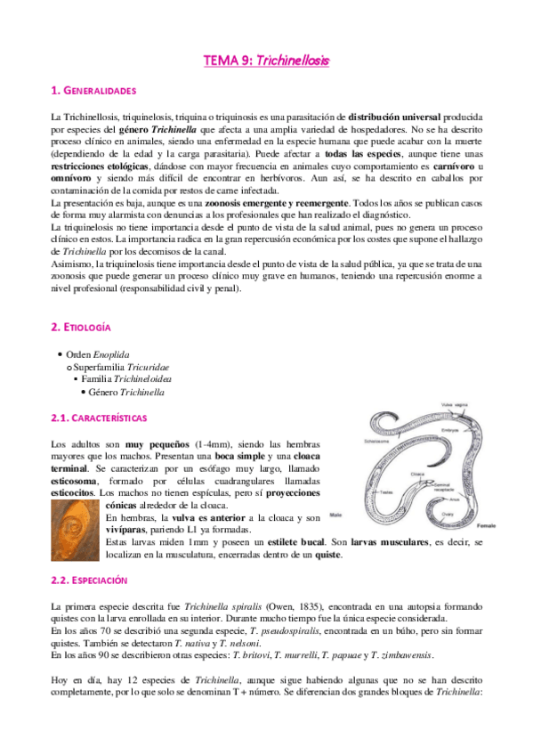 Miniatura del documento Tema-9-Trichinellosis.pdf