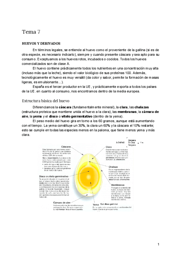 Miniatura del documento Tema-7-BRO.pdf