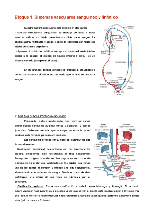 Miniatura del documento Bloque 1.pdf