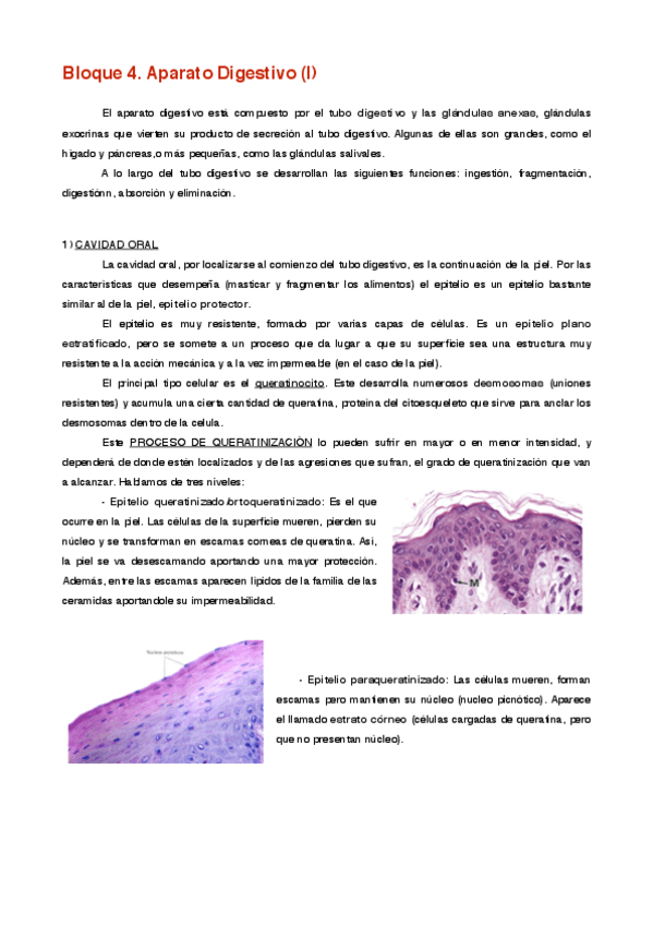 Miniatura del documento Bloque 4 (I) .pdf