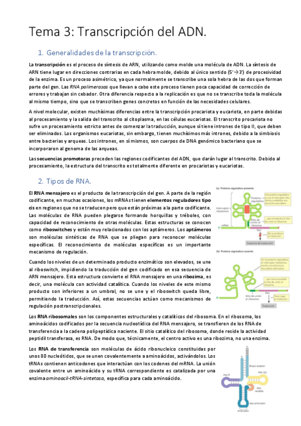 Miniatura del documento Tema-3.pdf