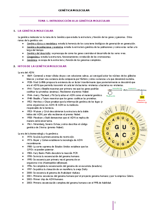 Miniatura del documento TEMA-1.pdf