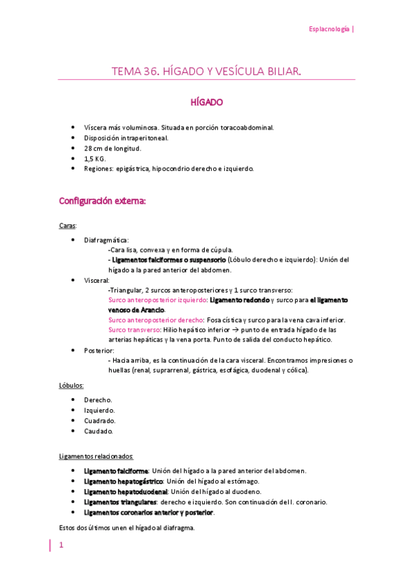 Miniatura del documento Tema-36-higado-y-vesicula-biliar.pdf