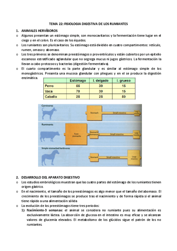 Miniatura del documento 22-rumiantes.pdf