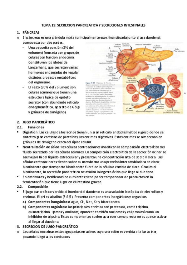 Miniatura del documento 19-secrecion-pancreatica-e-intestinal.pdf