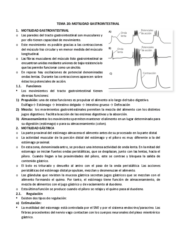 Miniatura del documento 20-motilidad-gastrointestinal.pdf