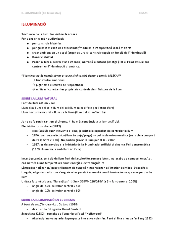 Miniatura del documento APUNTSIlluminacio.pdf