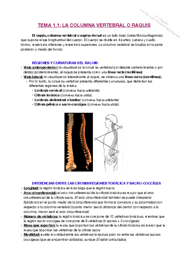 Miniatura del documento T1.pdf