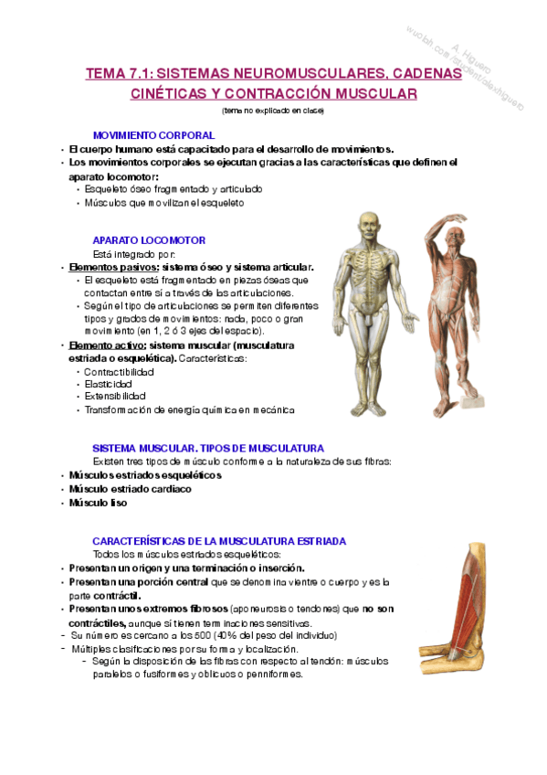 Miniatura del documento T7.pdf
