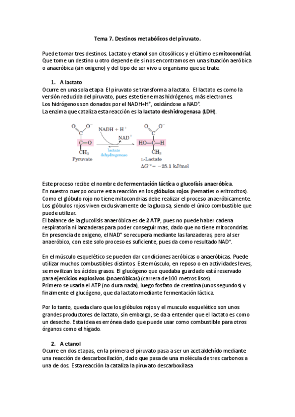 Miniatura del documento Tema-7.pdf