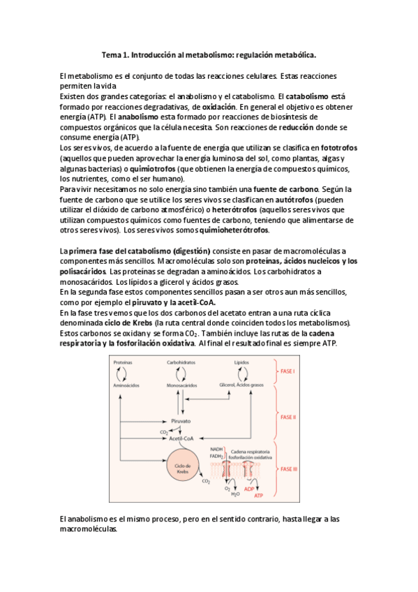 Miniatura del documento Tema-1.pdf